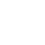 SOC 2 T2 Logo Circle Colour All White
